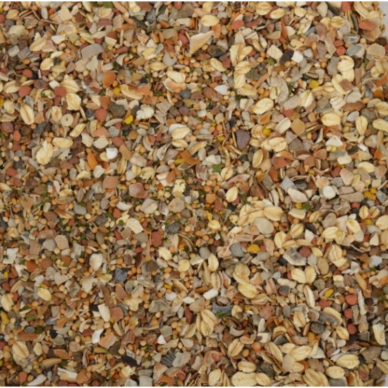 Pluimvee Pikmix Pluimvee Pikmix