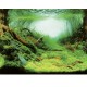 Aquarium achterwand poster | Planten en oceaan motief