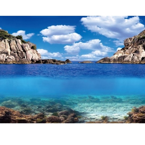 Aquarium achterwand poster | Planten en oceaan motief