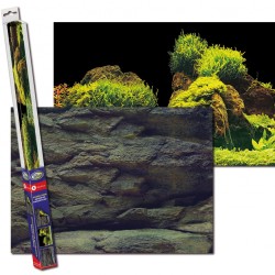 Achterwand poster | Rots en planten motief 