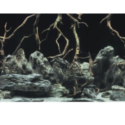 Aquarium achterwand poster | Wortels en zee motief 