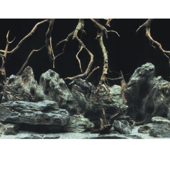 Aquarium achterwand poster | Wortels en zee motief Aquarium achterwand poster | Wortels en zee motief