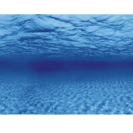 Aquarium achterwand poster | Wortels en zee motief Aquarium achterwand poster | Wortels en zee motief