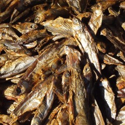 Gedroogde Visjes Groot Gedroogde Visjes Groot