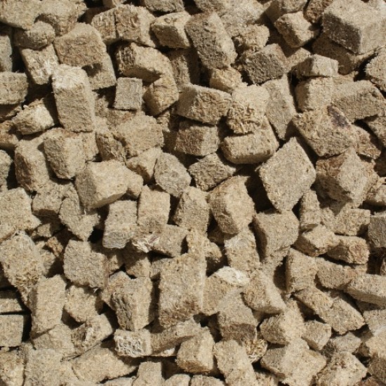 Tubifex Blokjes Tubifex Blokjes