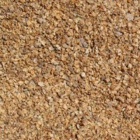 Watervlooien (Daphnia) 