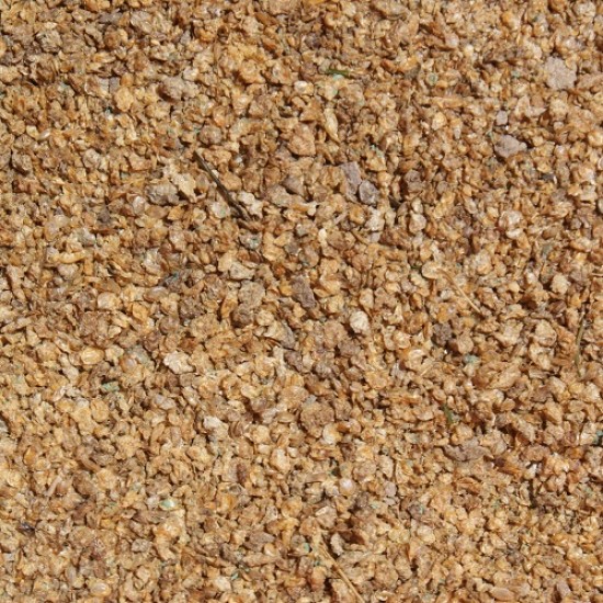 Watervlooien (Daphnia) Watervlooien (Daphnia)