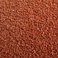 Premium Cichlide Granulaat (2mm)