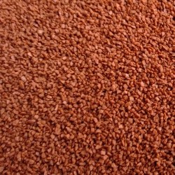 Premium Cichlide Granulaat (2mm)