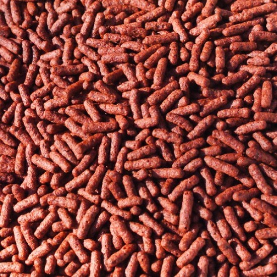 Cichlide Sticks Dierlijk (Drijvend) Cichlide Sticks Dierlijk (Drijvend)