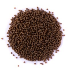 Meerval Pellets Meerval Pellets