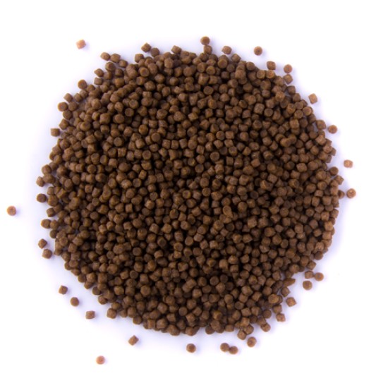 Meerval Pellets Meerval Pellets