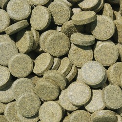 Tabletten Spirulina 6%