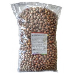 Hazelnoten in dop 5kg