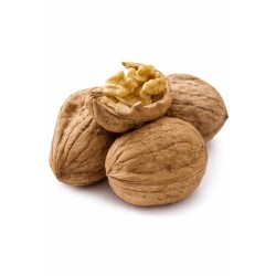 Walnoten in dop Walnoten in dop