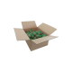 Mezenbollen met net Mezenbollen met net