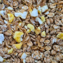 Vogelmuesli met garnalen Vogelmuesli met garnalen