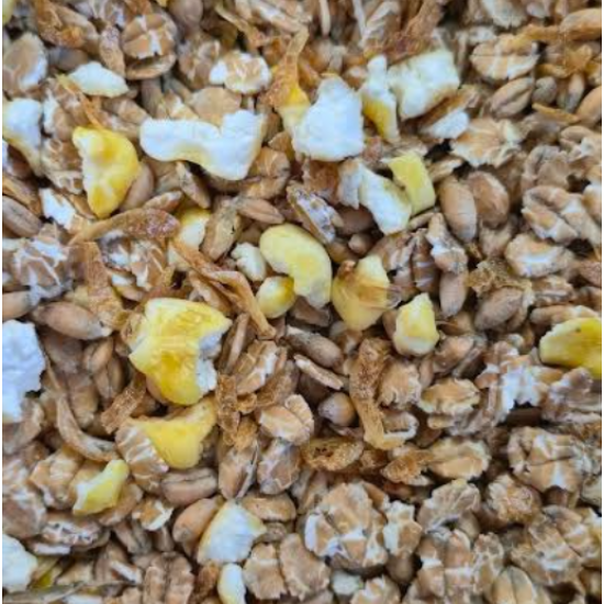 Vogelmuesli met garnalen Vogelmuesli met garnalen