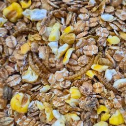 Vogelmuesli met meelwormen Vogelmuesli met meelwormen