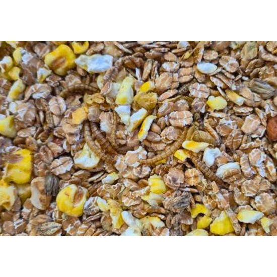Vogelmuesli met meelwormen Vogelmuesli met meelwormen