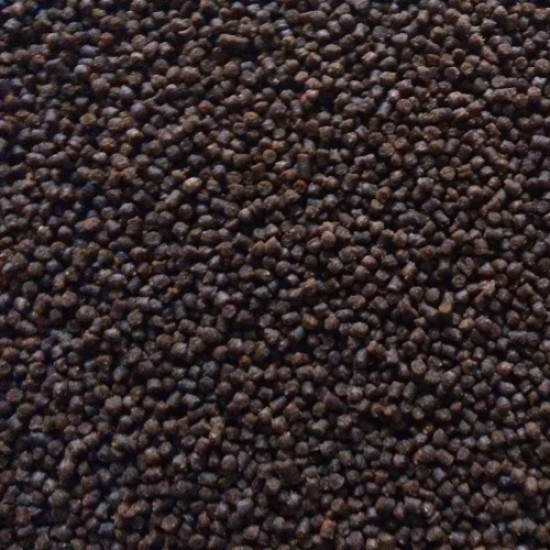 Goudvis Korrels Goudvis Korrels