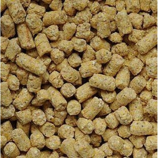 Babycorn pellets Babycorn pellets