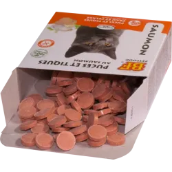 BioFood AntiVlo Knoflook Zalm Tabletten - 100 stuks 