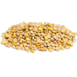 Mais 20kg