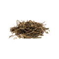 Gezondheid