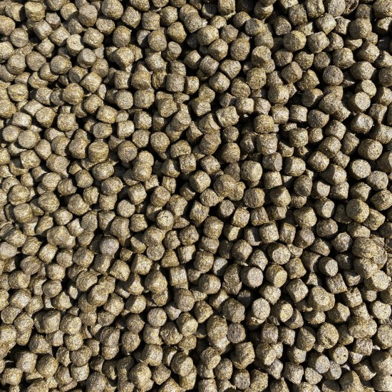 Koi Spirulina Koi Spirulina