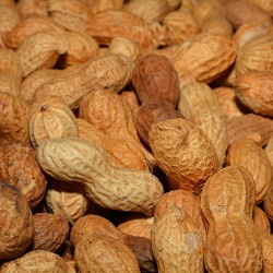 Pinda's in Dop - Doppinda's 