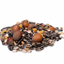 Eekhoornvoer Eekhoornvoer