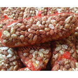 Pindanetjes - (200gam per netje)