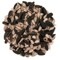 Zonnebloempitten Mix 