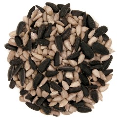 Zonnebloempitten Mix 