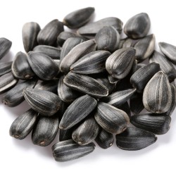 Zwarte Zonnebloempitten