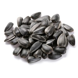 Zwarte Zonnebloempitten