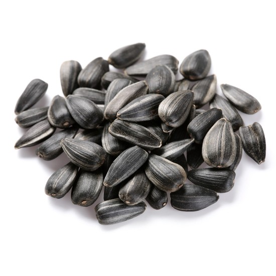 Zwarte zonnebloempitten