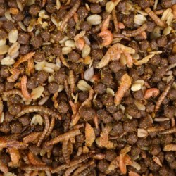 Egelvoer met insecten Egelvoer met insecten