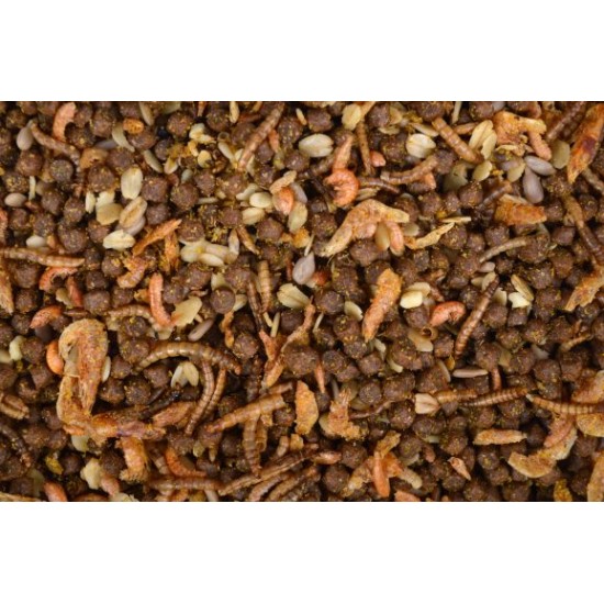 Egelvoer met insecten