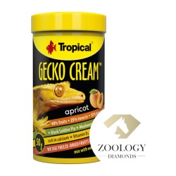 Tropical Gecko Cream Apricot 