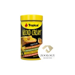 Tropical Gecko Cream Apricot 