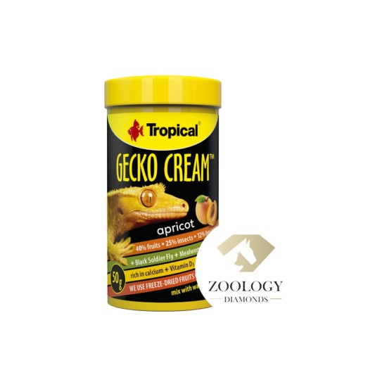 Tropical Gecko Cream Apricot Tropical Gecko Cream Apricot