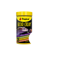 Tropical Gecko Cream Fig 