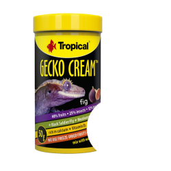 Tropical Gecko Cream Fig 