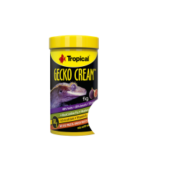 Tropical Gecko Cream Fig 