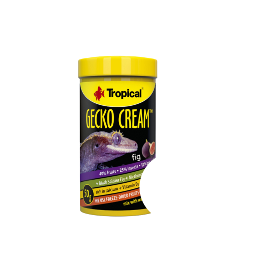 Tropical Gecko Cream Fig Tropical Gecko Cream Fig