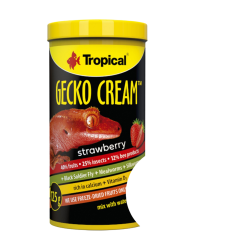 Tropical Gecko Cream Strawberry 