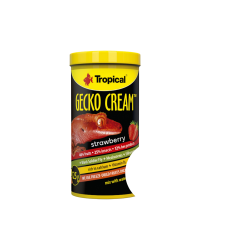 Tropical Gecko Cream Strawberry 