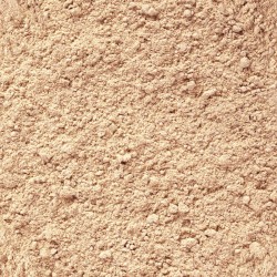 Tropical Gecko Cream Strawberry 